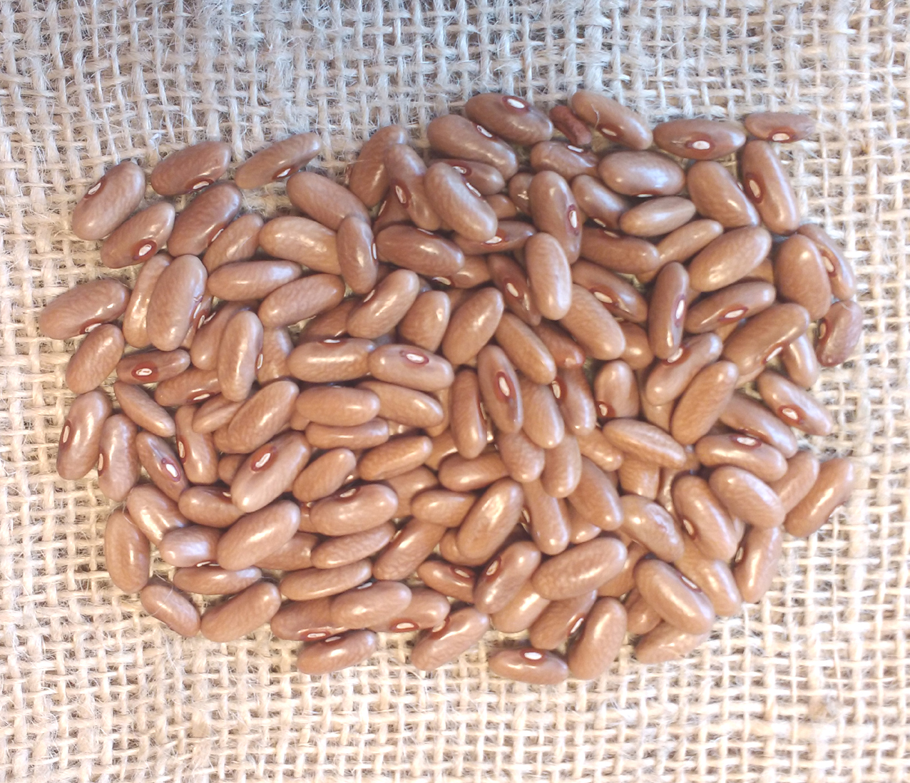 beans