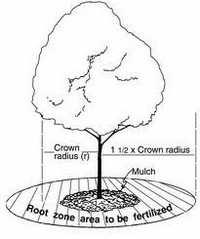 चित्र ११