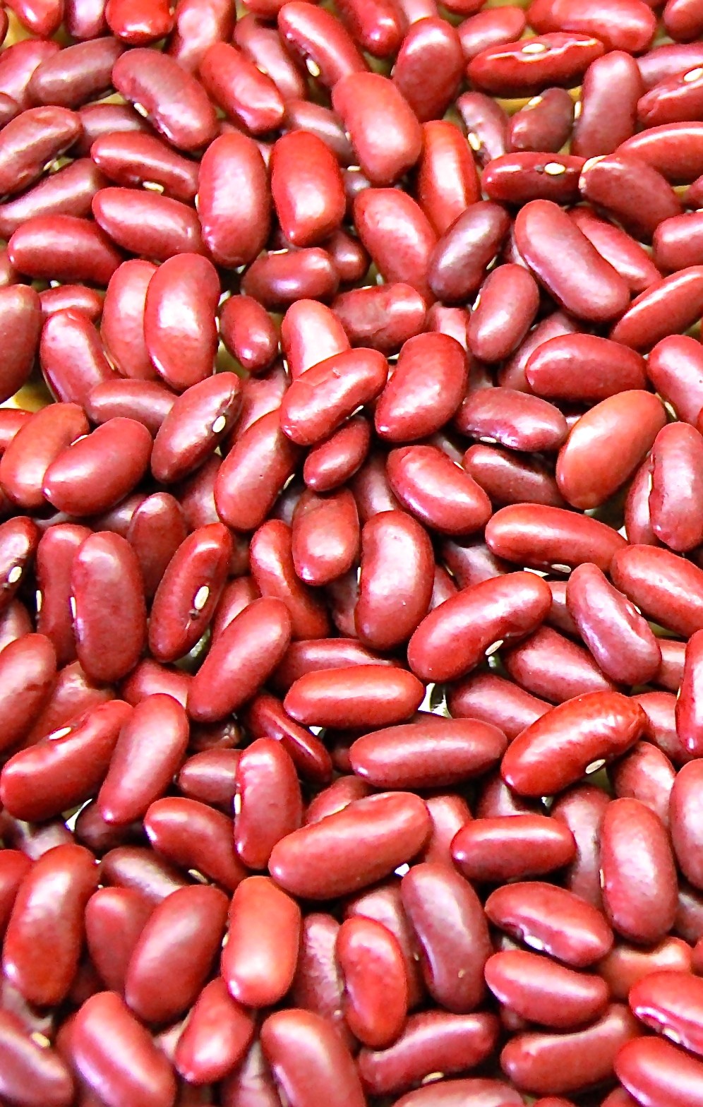 beans