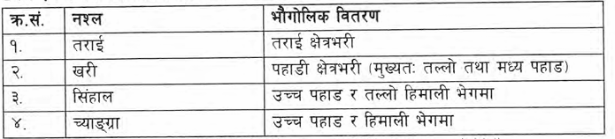 pahichan