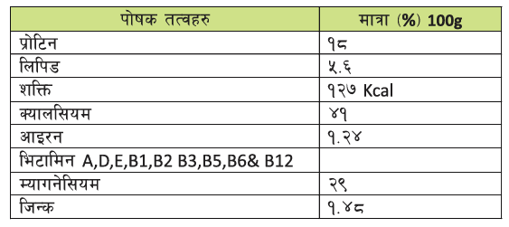 nutrition