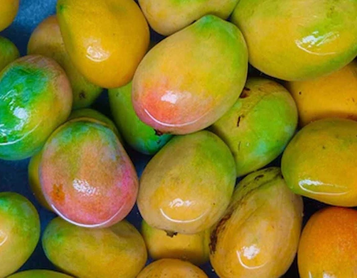 mango